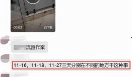 手淫视频网站,内容解析与行业现状
